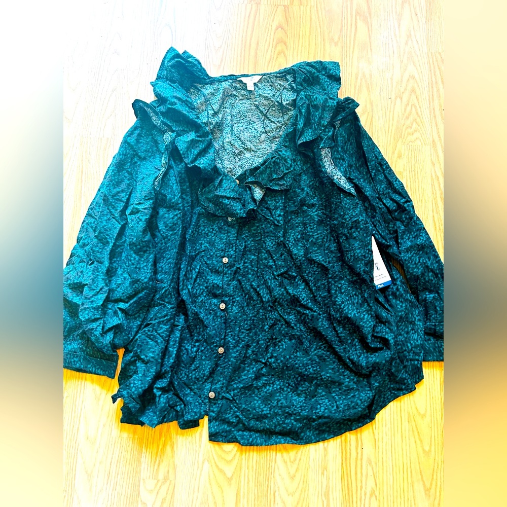 BNWT Terra & Sky blouse sz 3x